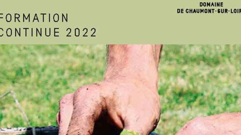 L’offre «  Le jardin de soin et de santé  » date de 2012, preuve de l’intérêt du domaine de Chaumont pour de nouveaux besoins. Il est vrai que le Festival international des jardins les avaient mis très tôt en valeur. ©LKP 